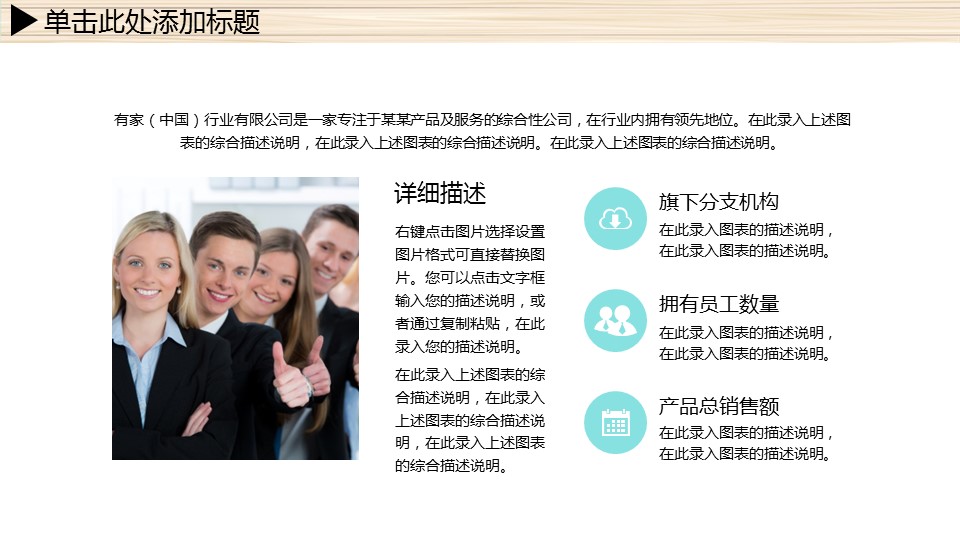商务.总结PPT模板-图文06总结-559的PPT模板-4/53