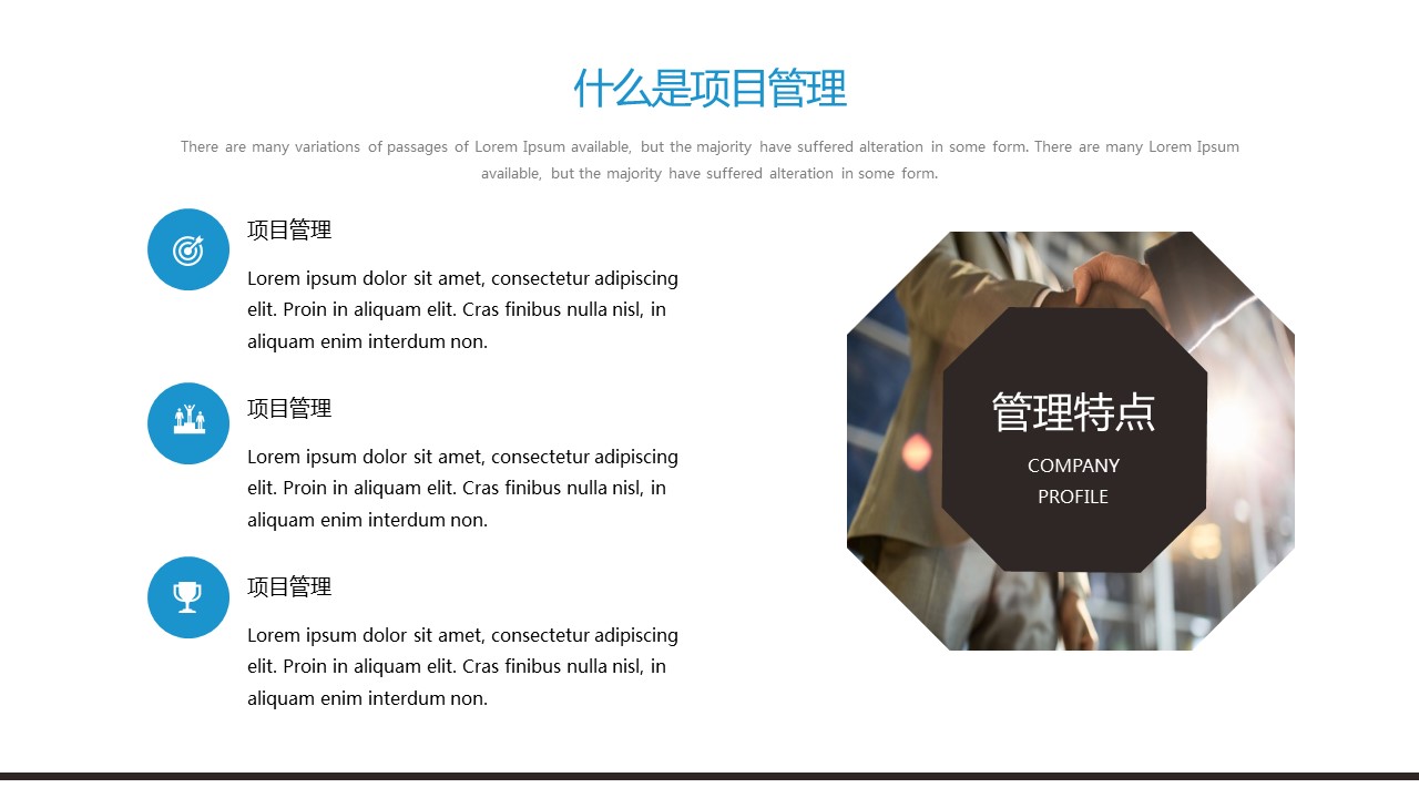 商务.总结PPT模板-图文13工作总结-图文62的PPT模板-7/31