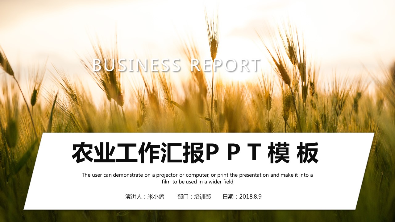 商务.总结PPT模板-图文14工作总结-图文122的PPT模板-1/29