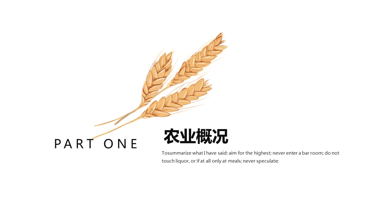 商务.总结PPT模板-图文14工作总结-图文122的PPT模板-3/29