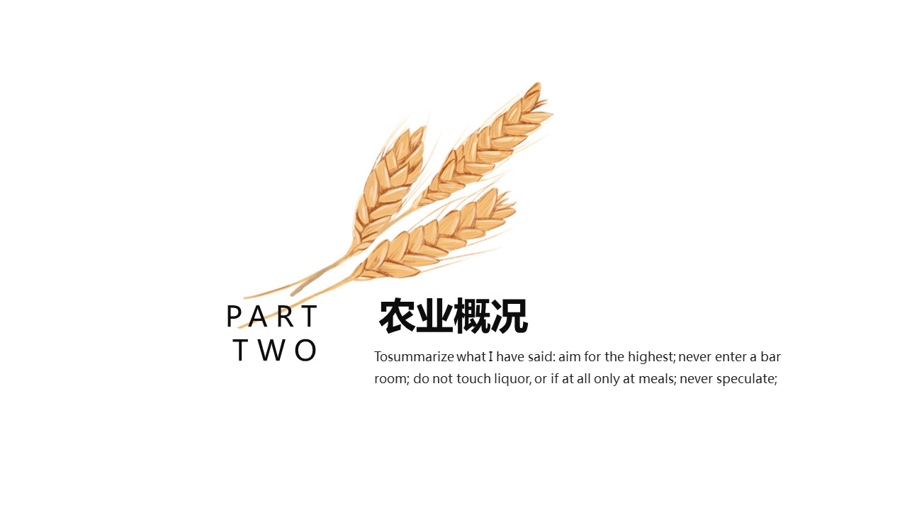 商务.总结PPT模板-图文14工作总结-图文122的PPT模板-8/29