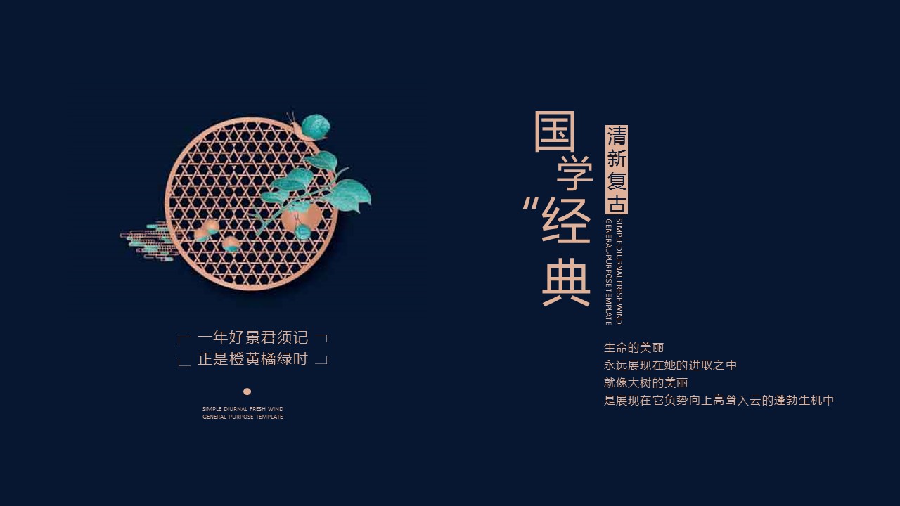 商务.总结PPT模板-图文14工作总结-图文87的PPT模板-1/29