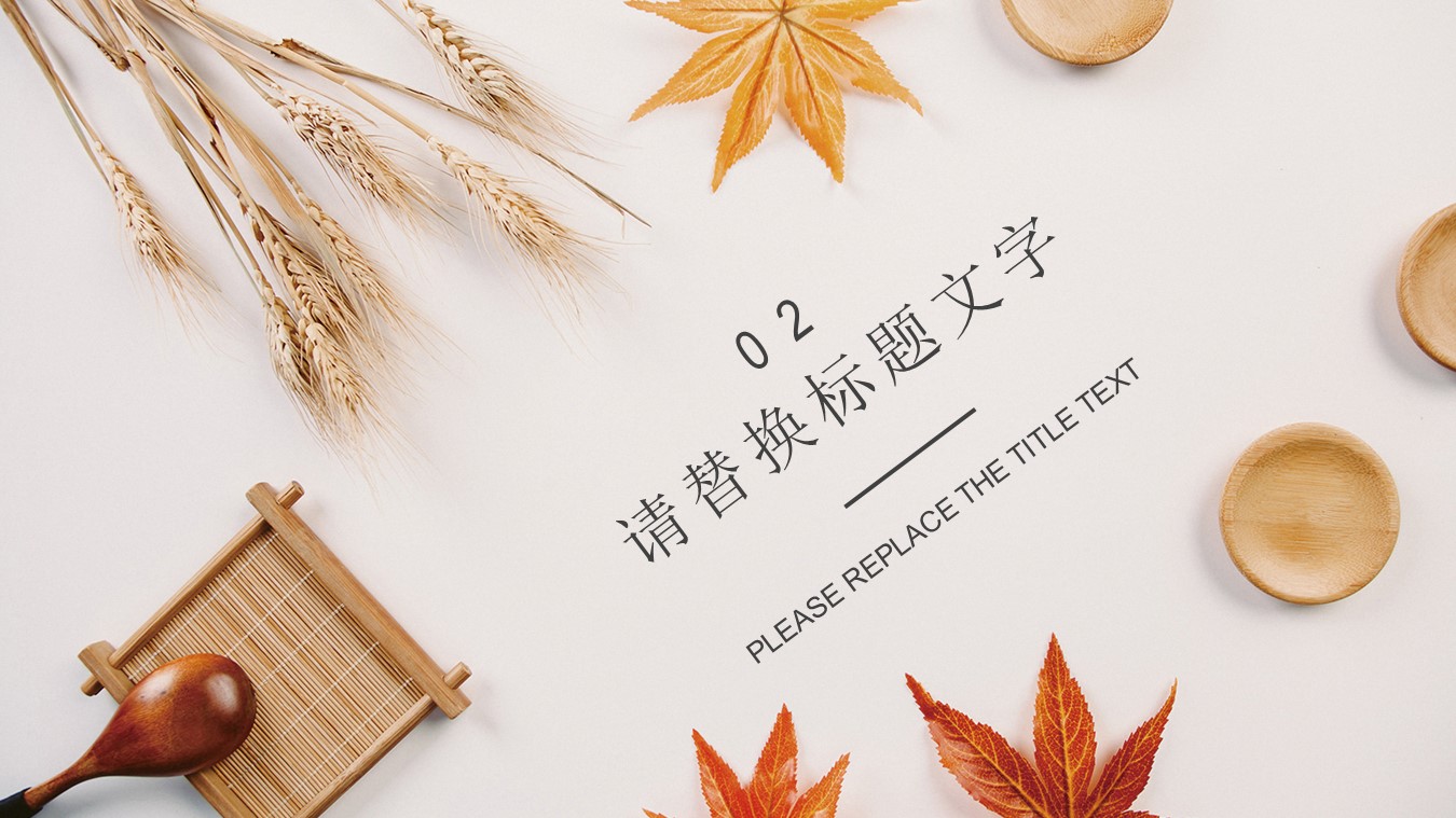 商务.总结PPT模板-图文15工作总结-图文243的PPT模板-9/29