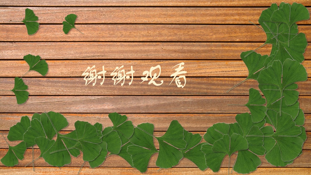 商务.述职报告2212的PPT模板-10/16