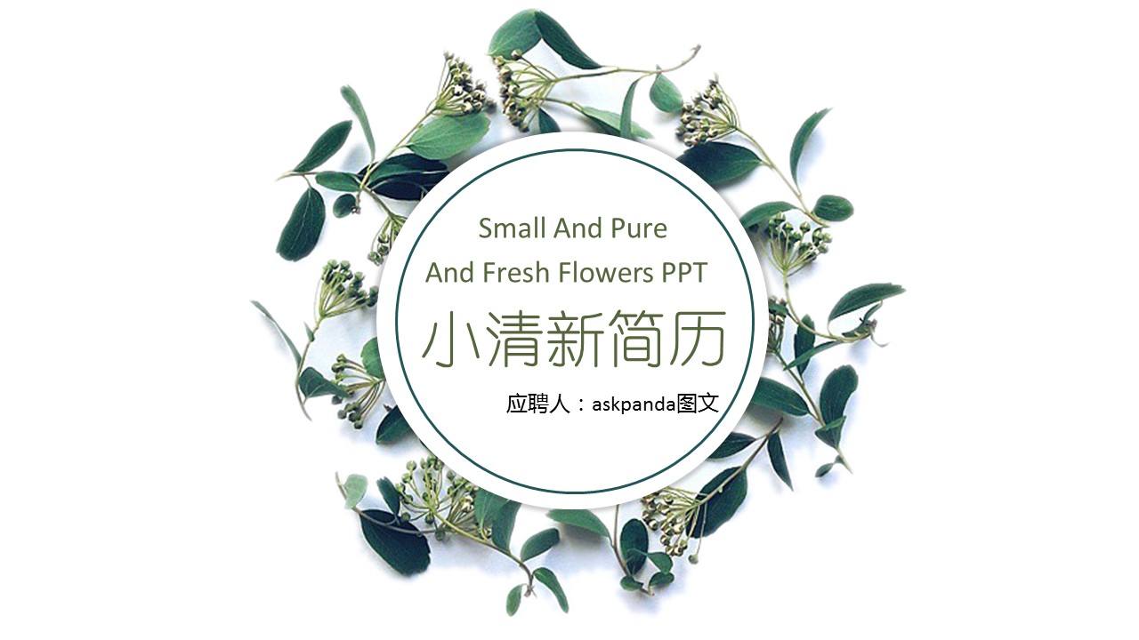 商务.模板源文件简历 19的PPT模板-1/31