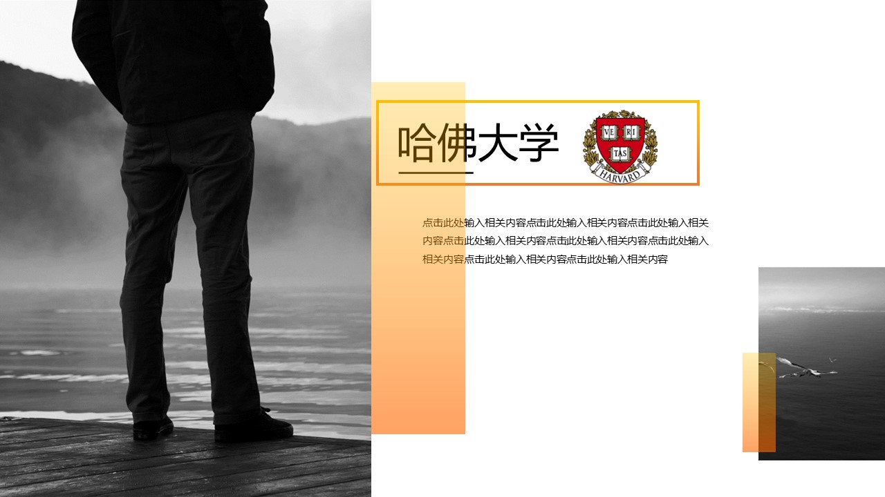 商务.PPT模板源文件个人简历求职竞聘-107的PPT模板-8/31