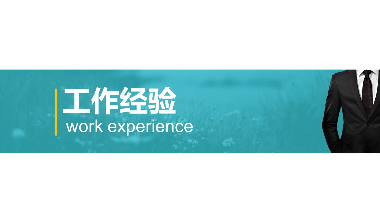 商务.PPT模板源文件个人简历求职竞聘-198的PPT模板-8/29
