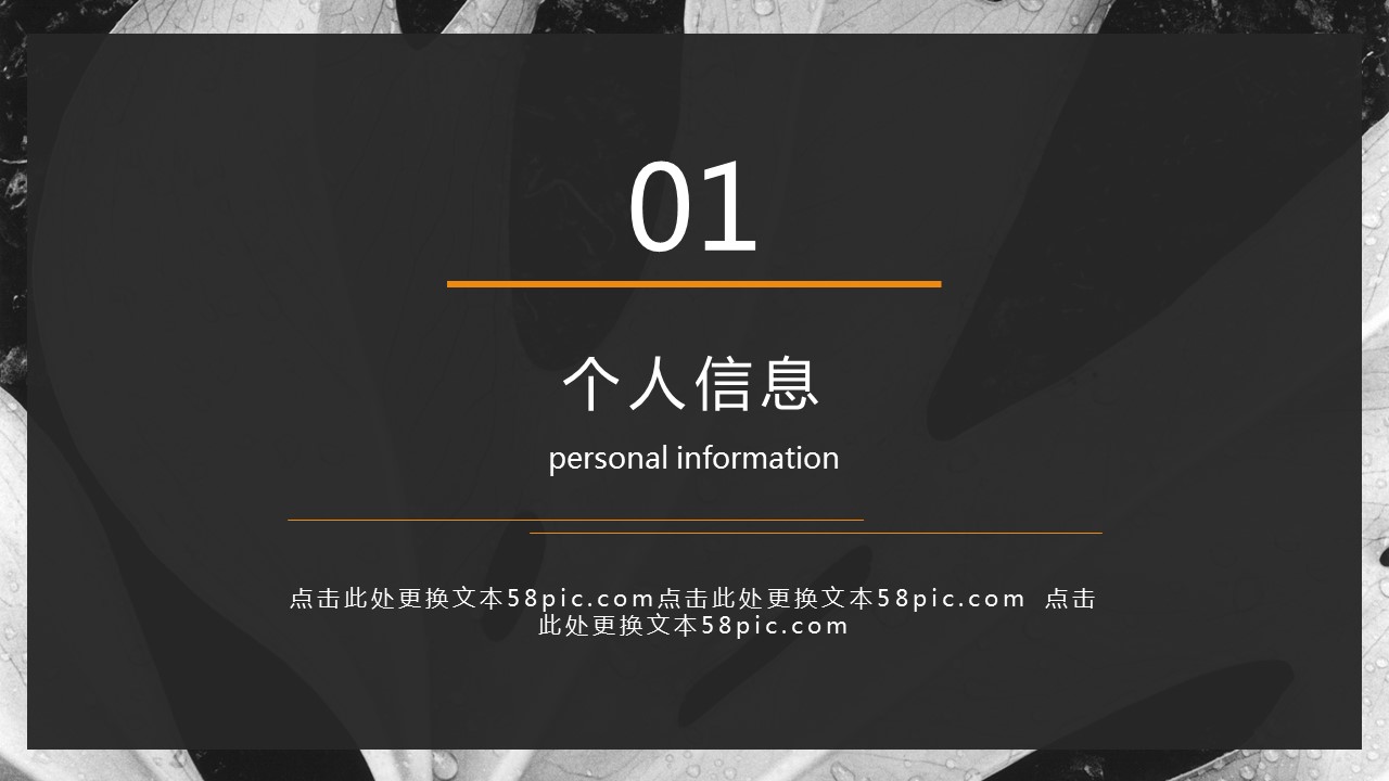 商务.PPT模板源文件个人简历求职竞聘-227的PPT模板-3/29