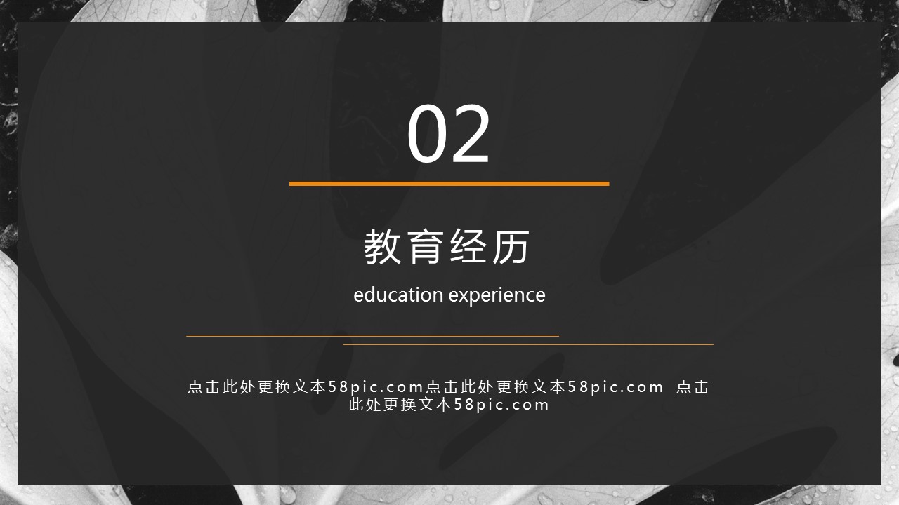 商务.PPT模板源文件个人简历求职竞聘-227的PPT模板-8/29
