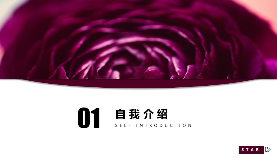 商务.PPT模板源文件个人简历求职竞聘-261的PPT模板-3/29