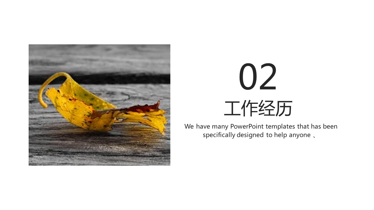 商务.PPT模板源文件个人简历求职竞聘-41的PPT模板-8/29