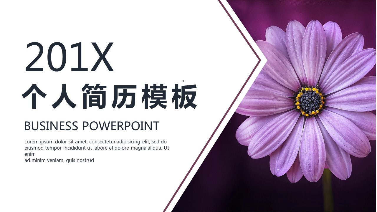 商务.PPT模板源文件个人简历求职竞聘-54的PPT模板-1/29