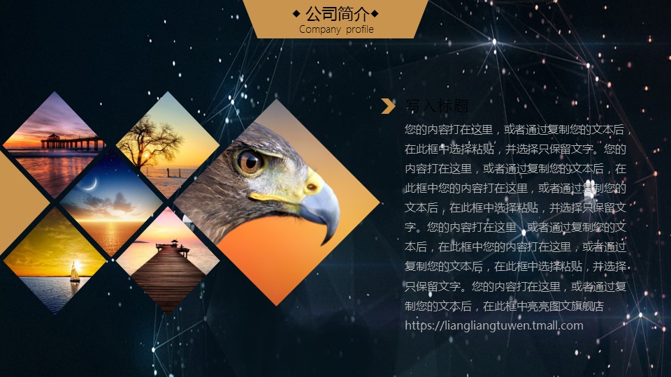 商务.创业融资ppt43360创业融资计划书动态PPT模板的PPT模板-5/29
