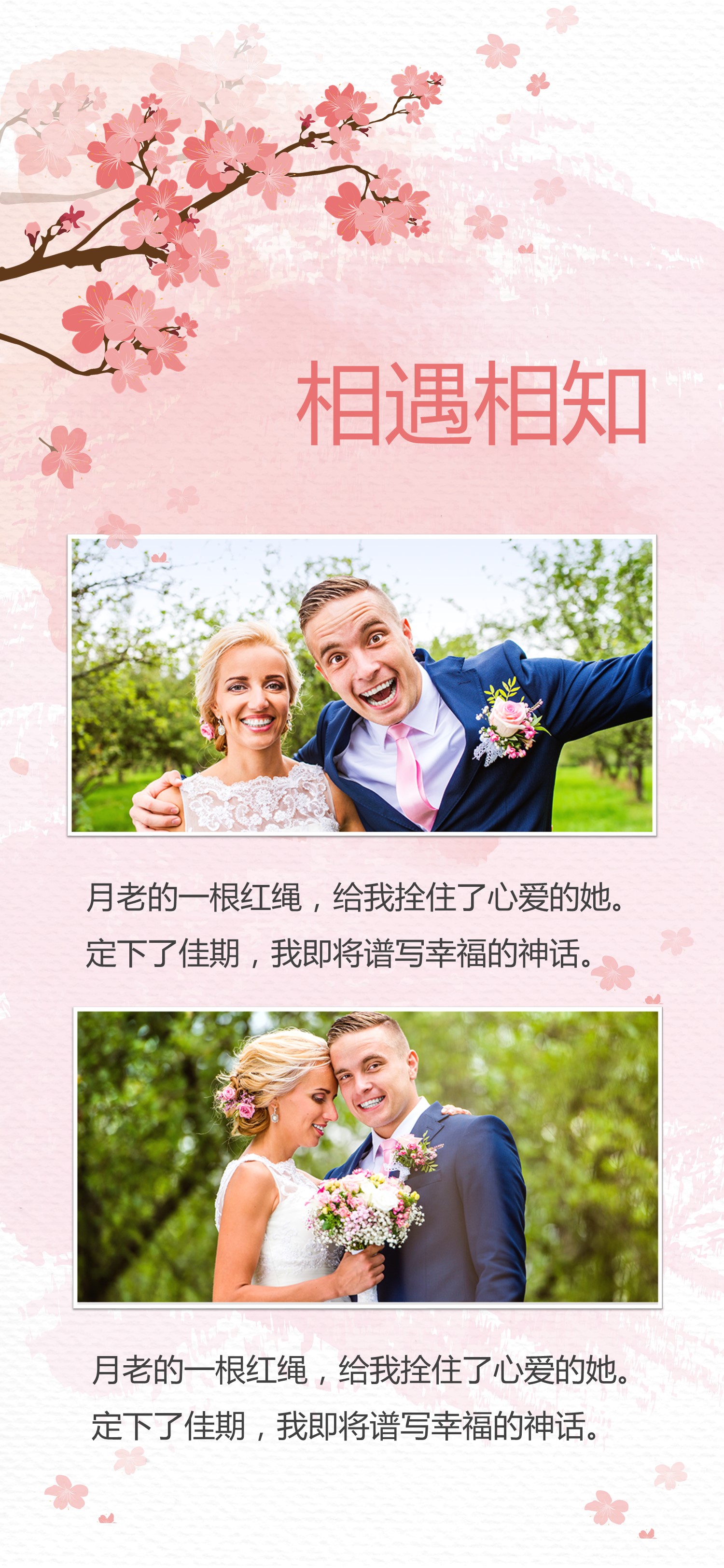 商务.手机竖版PPT46的PPT模板-3/12