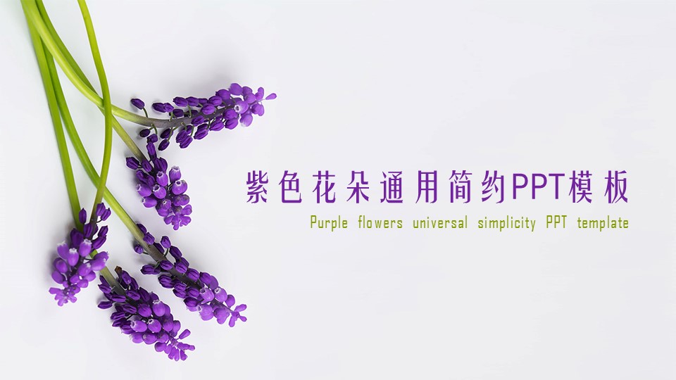 商务.紫色ppt高端大气紫色动态PPT模板 21的PPT模板-1/32