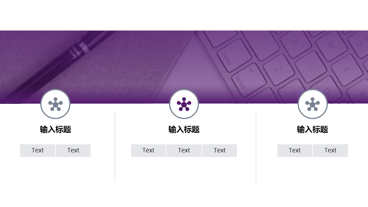 商务.A169-轻奢系金箔风.01-轻奢金箔ppt模板.4的PPT模板-8/32