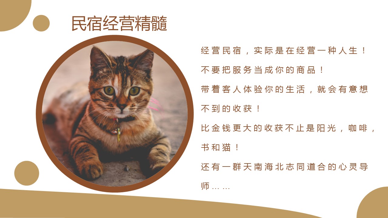 商务.D47民宿酒店ppt概念方案工装室内设计禅意度假名宿改造动态模版素材.PPT 源文件.1成品的PPT模板-7/34