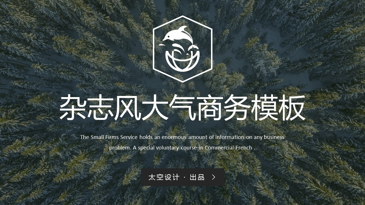 欧美商务.14的PPT模板-1/20