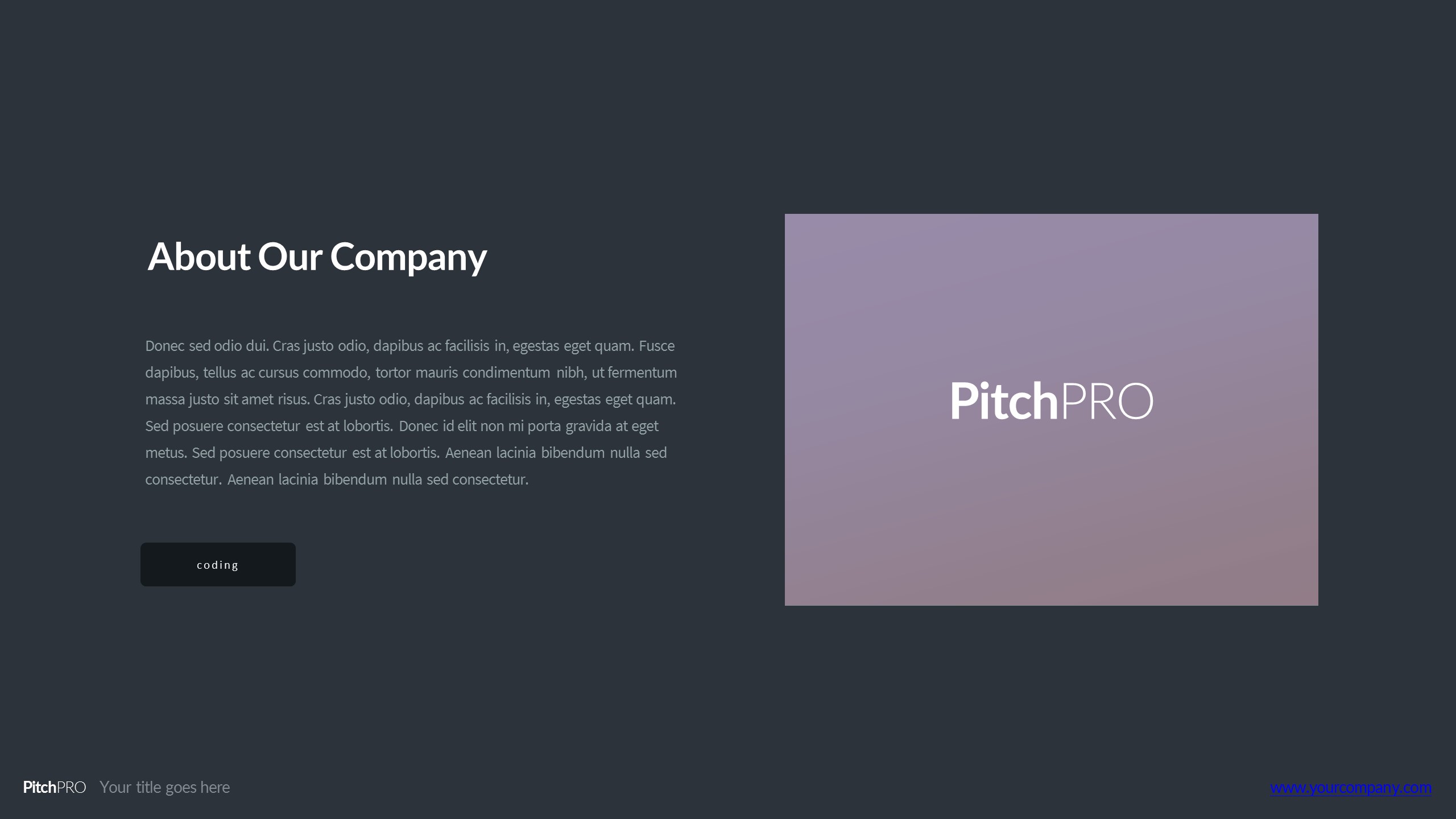 欧美商务.slidehack_pitchpro_placeholder的PPT模板-6/57