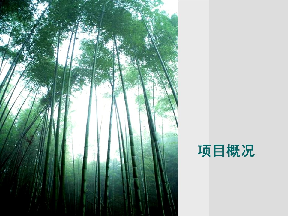（12） 89建筑设计ppt.62的PPT模板-3/93