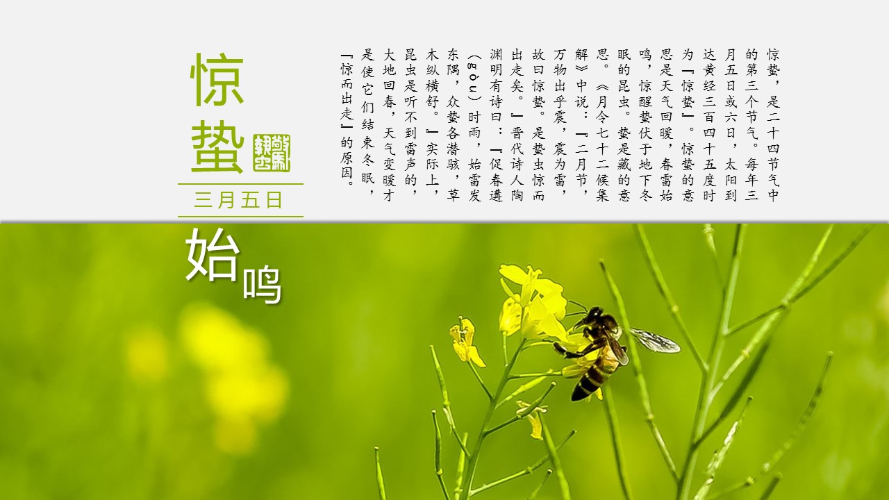图文-中国风500款.03中国风精选.PPT.中国风 31的PPT模板-4/31