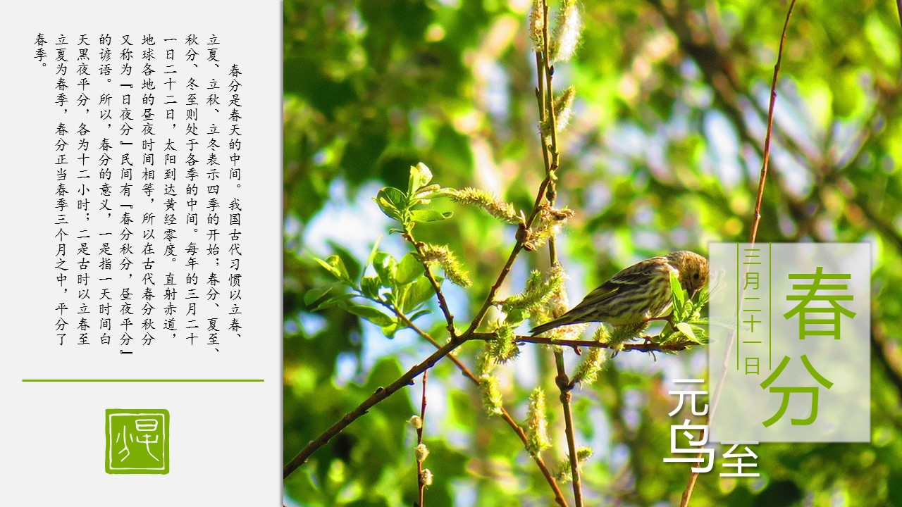 图文-中国风500款.03中国风精选.PPT.中国风 31的PPT模板-5/31