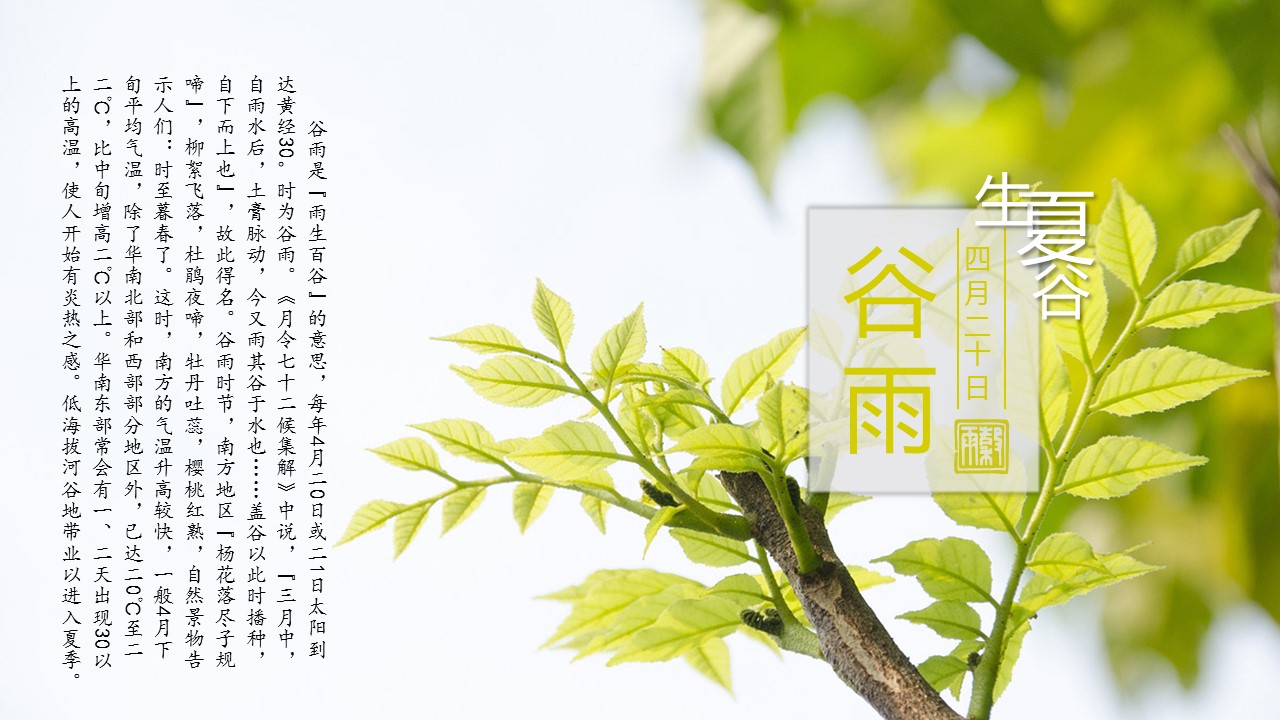 图文-中国风500款.03中国风精选.PPT.中国风 31的PPT模板-7/31