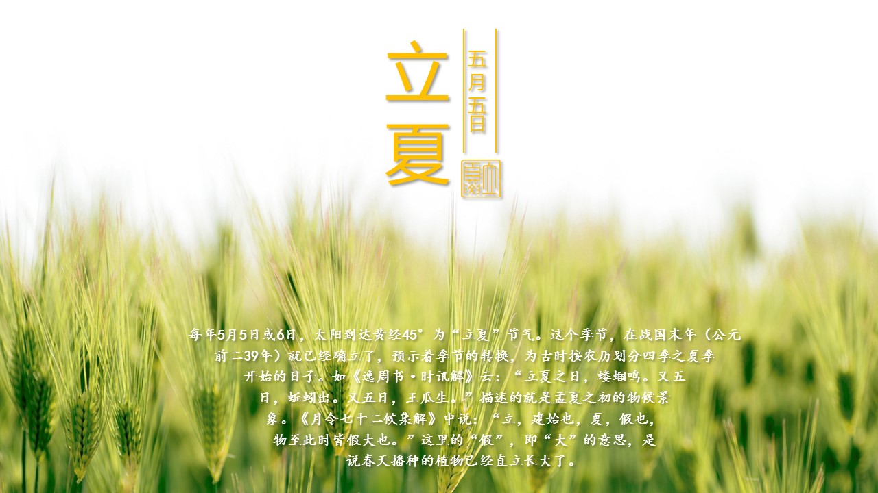 图文-中国风500款.03中国风精选.PPT.中国风 31的PPT模板-8/31
