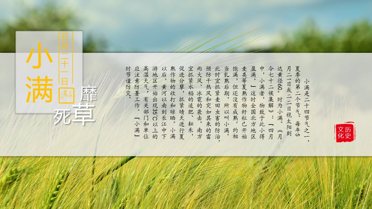 图文-中国风500款.03中国风精选.PPT.中国风 31的PPT模板-9/31