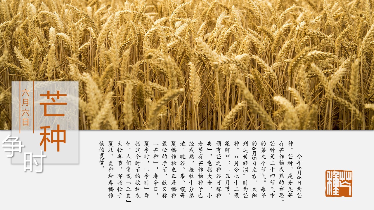 图文-中国风500款.03中国风精选.PPT.中国风 31的PPT模板-10/31