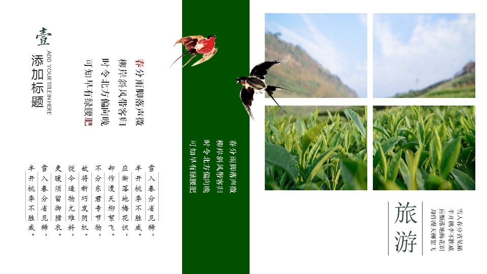 图文-中国风500款.03中国风精选.PPT.中国风 39的PPT模板-5/22