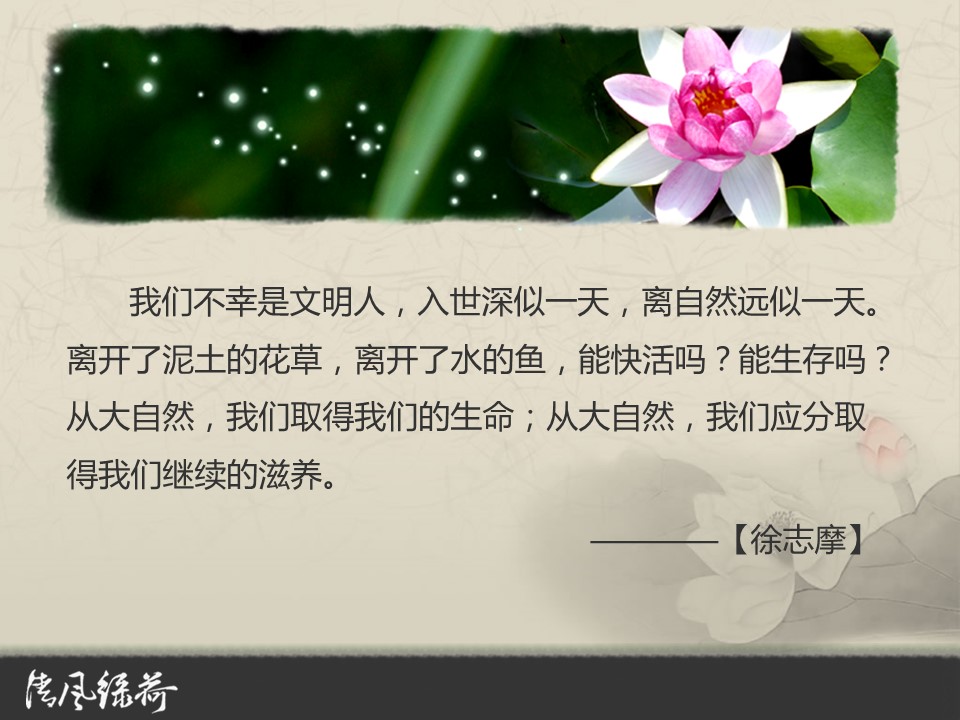 图文-中国风PPT.图文-中国风55的PPT模板-4/10