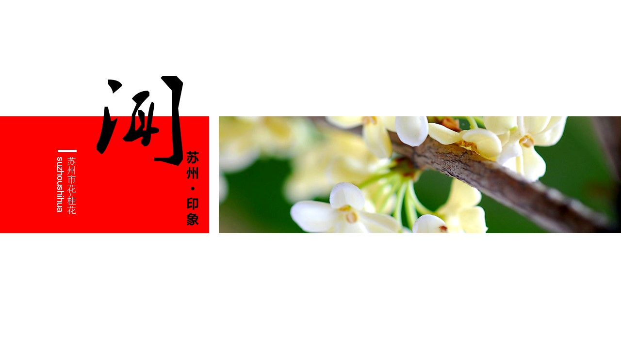详情描述用 中国风更新版模板.041 苏州印象的PPT模板-7/19