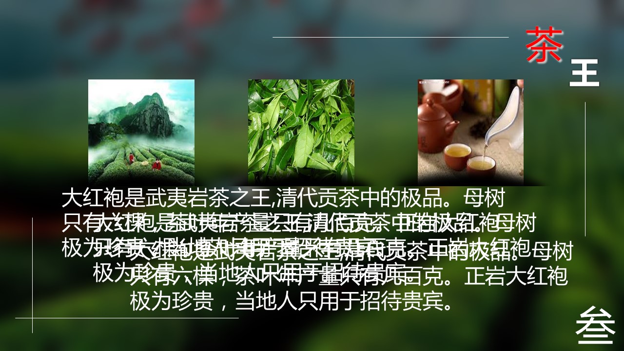 详情描述用 中国风更新版模板.122 中国茶艺的PPT模板-5/12