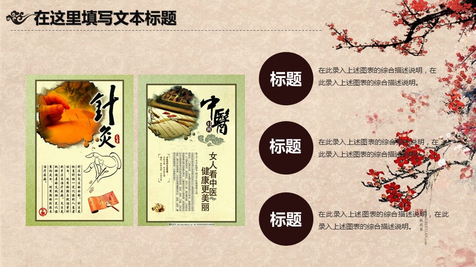 中药医学PPT（二选一）.B197-中药医学PPT.PPT文件及预览图.101的PPT模板-6/45
