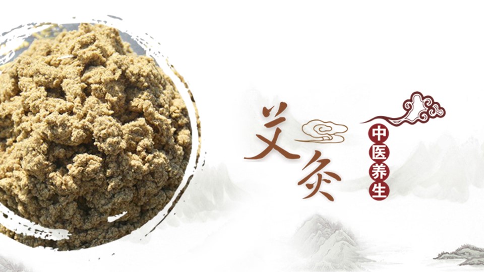 中药医学PPT（二选一）.B197-中药医学PPT.PPT文件及预览图.11的PPT模板-1/29