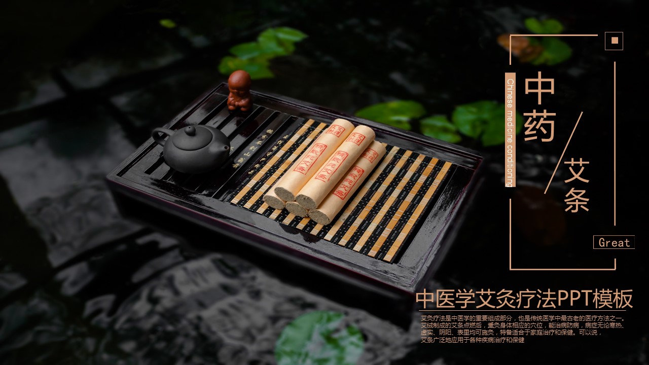 中药医学PPT（二选一）.B197-中药医学PPT.PPT文件及预览图.111的PPT模板-1/29