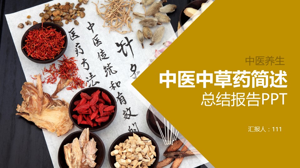 中药医学PPT（二选一）.B197-中药医学PPT.PPT文件及预览图.12的PPT模板-1/30