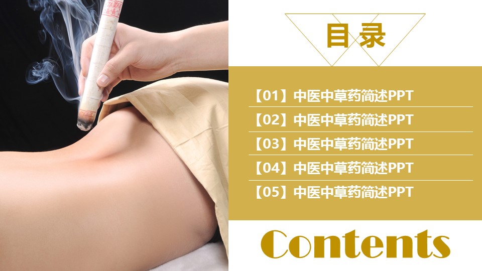 中药医学PPT（二选一）.B197-中药医学PPT.PPT文件及预览图.12的PPT模板-2/30