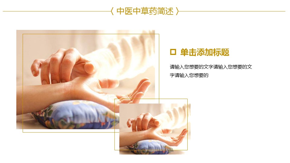 中药医学PPT（二选一）.B197-中药医学PPT.PPT文件及预览图.12的PPT模板-9/30