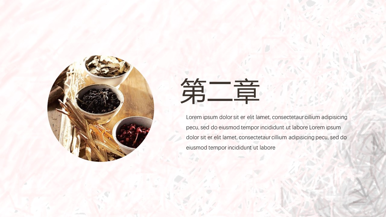 中药医学PPT（二选一）.B197-中药医学PPT.PPT文件及预览图.127的PPT模板-8/30
