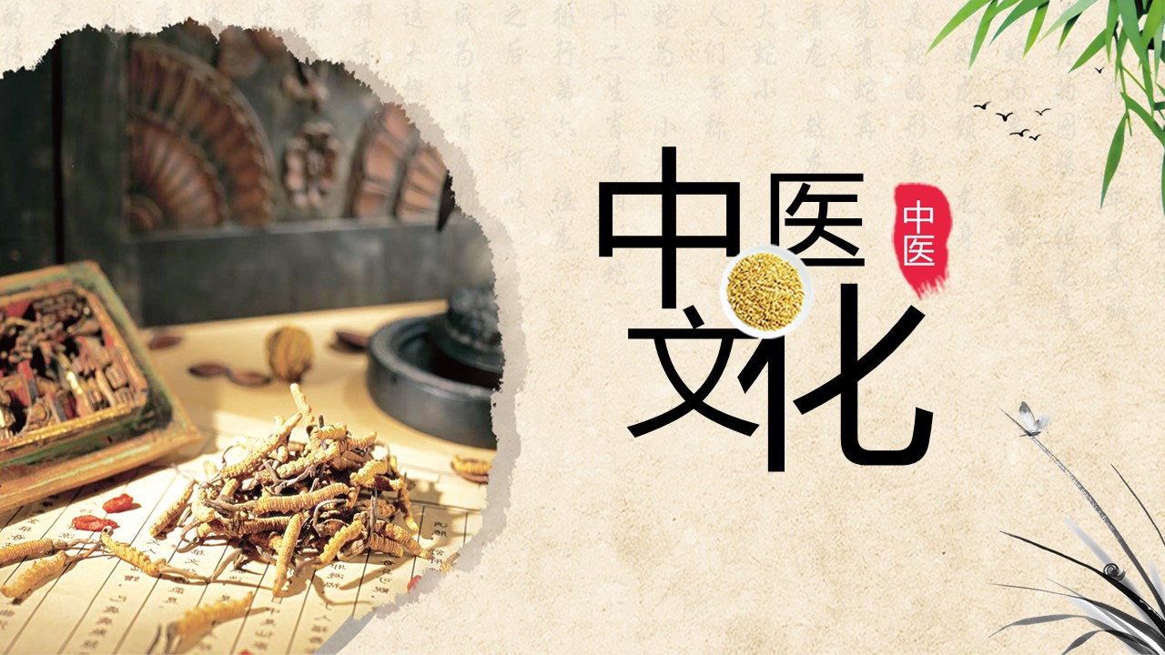 中药医学PPT（二选一）.B197-中药医学PPT.PPT文件及预览图.16的PPT模板-1/30