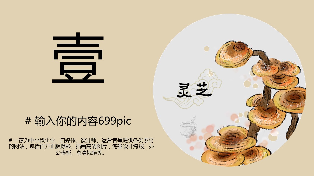 中药医学PPT（二选一）.B197-中药医学PPT.PPT文件及预览图.2的PPT模板-3/27
