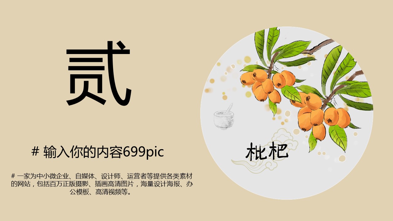 中药医学PPT（二选一）.B197-中药医学PPT.PPT文件及预览图.2的PPT模板-8/27