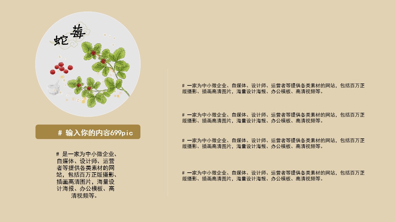 中药医学PPT（二选一）.B197-中药医学PPT.PPT文件及预览图.2的PPT模板-9/27