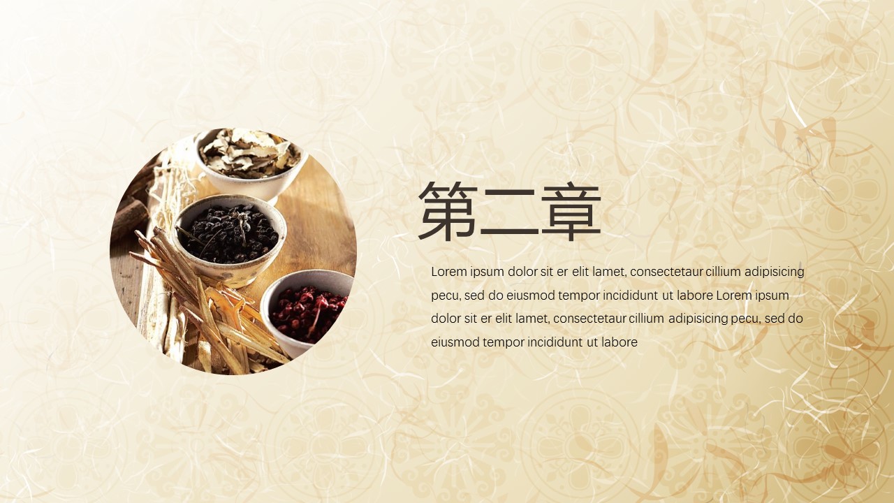 中药医学PPT（二选一）.B197-中药医学PPT.PPT文件及预览图.28的PPT模板-9/31