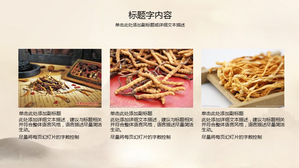 中药医学PPT（二选一）.B197-中药医学PPT.PPT文件及预览图.36的PPT模板-5/35