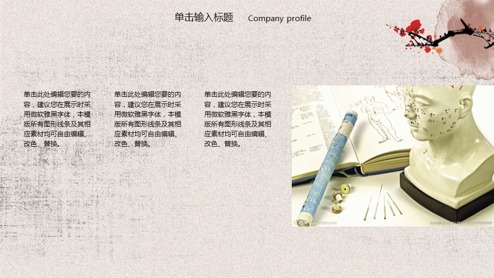 中药医学PPT（二选一）.B197-中药医学PPT.PPT文件及预览图.40的PPT模板-4/35