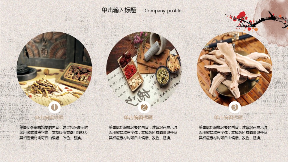 中药医学PPT（二选一）.B197-中药医学PPT.PPT文件及预览图.40的PPT模板-6/35