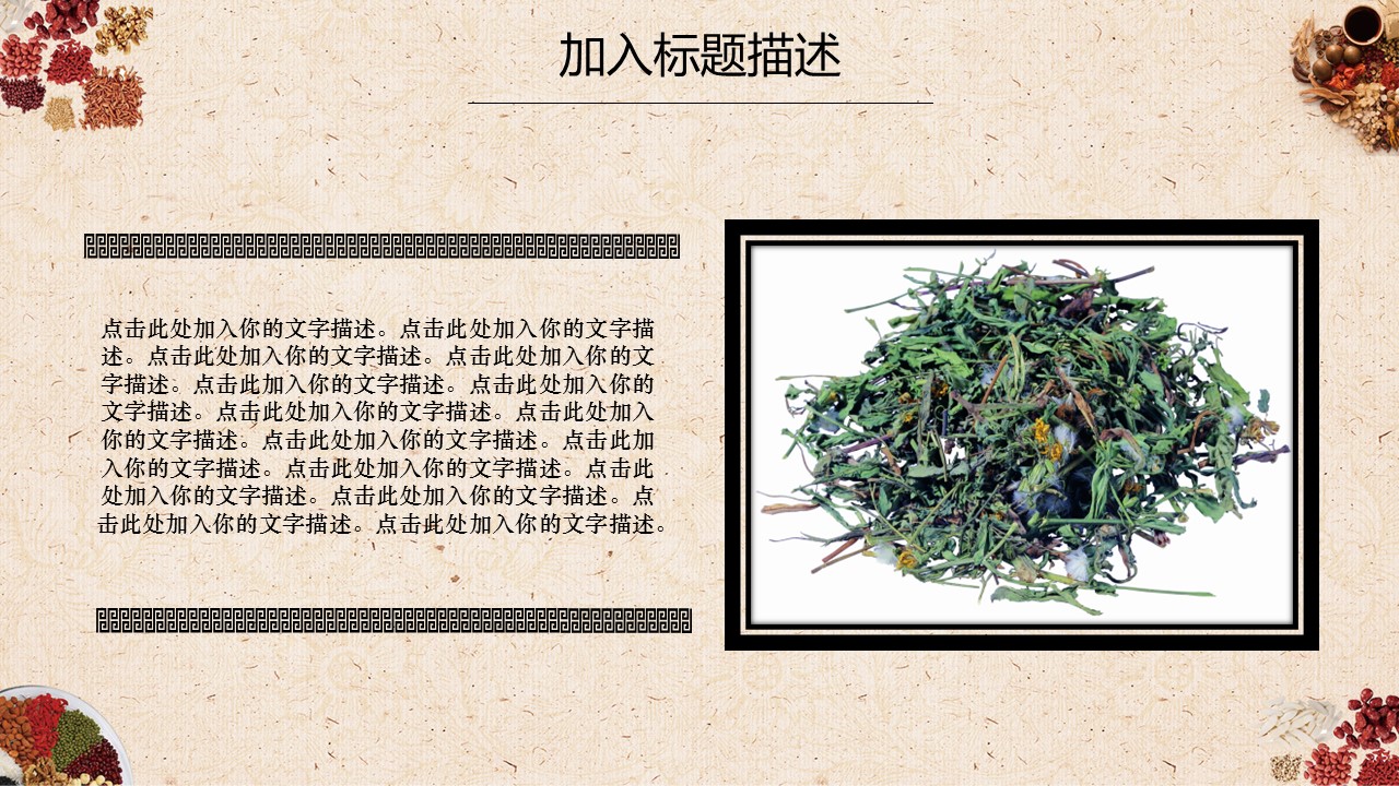 中药医学PPT（二选一）.B197-中药医学PPT.PPT文件及预览图.41的PPT模板-4/30